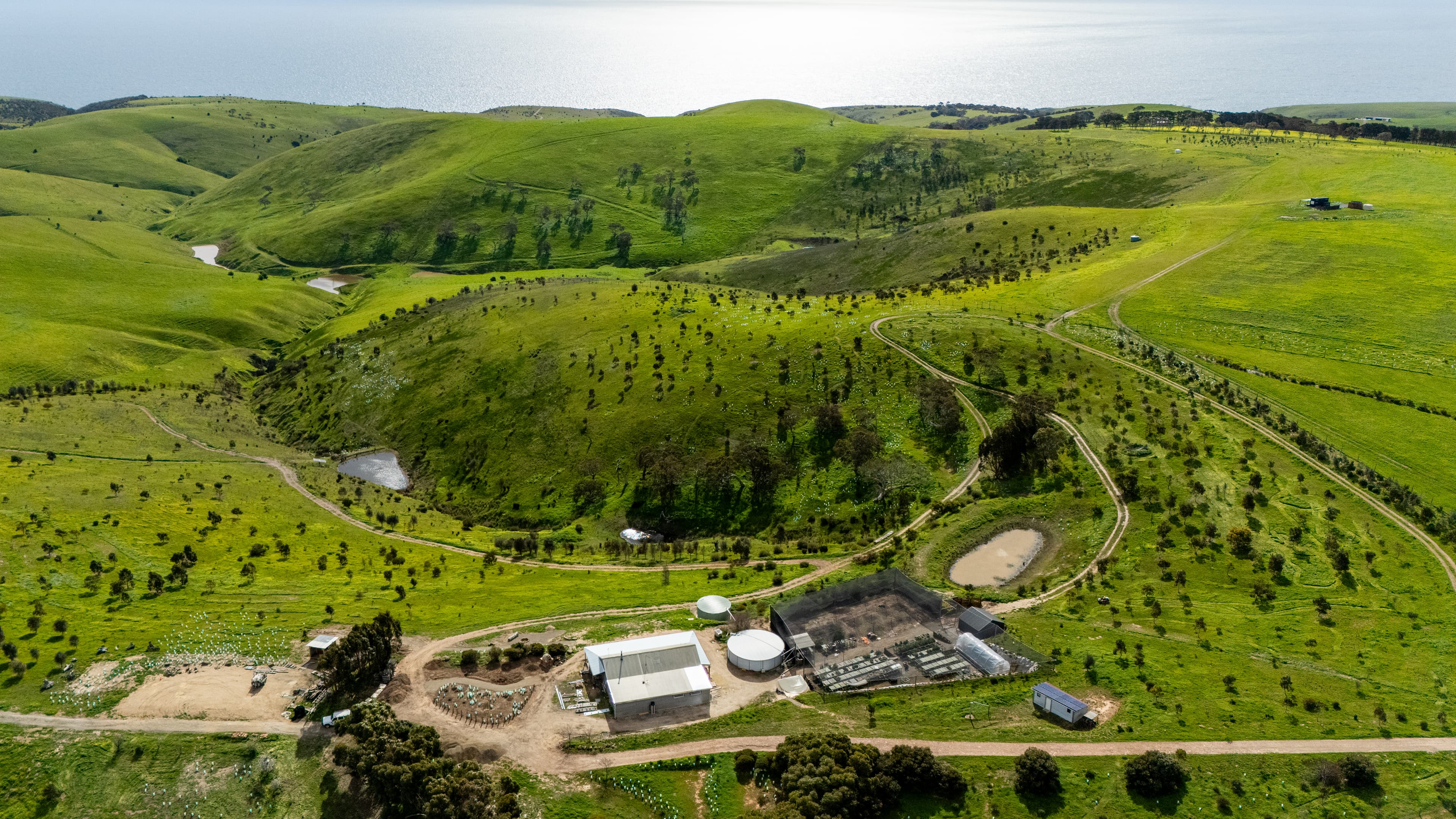 The Forktree Project